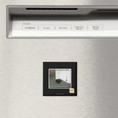 Katzenkatze, leicht desorientiert magnet (In Situ (Geschirrspüler))