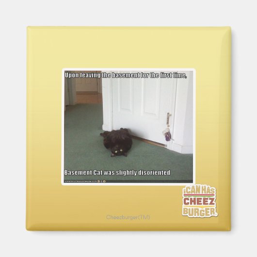 Katzenkatze, leicht desorientiert magnet (Vorne)