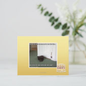 Katzenkatze, leicht desorientiert postkarte (Stehend Vorderseite)