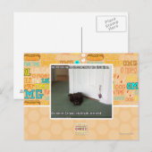Katzenkatze, leicht desorientiert postkarte (Vorne/Hinten)