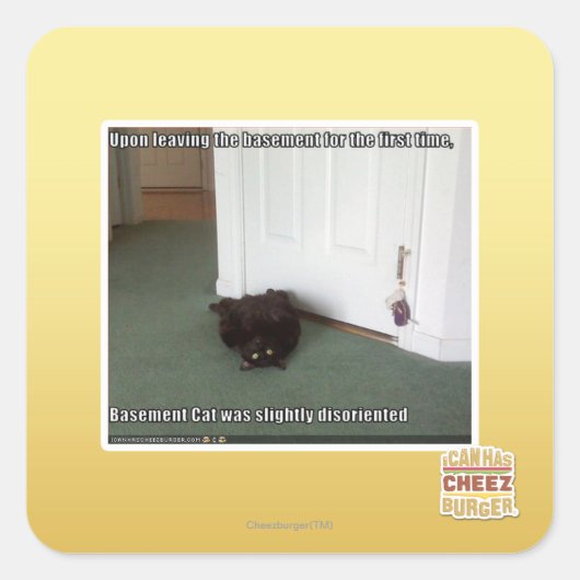 Katzenkatze, leicht desorientiert quadratischer aufkleber (Vorderseite)