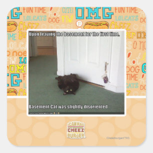 Katzenkatze, leicht desorientiert quadratischer aufkleber