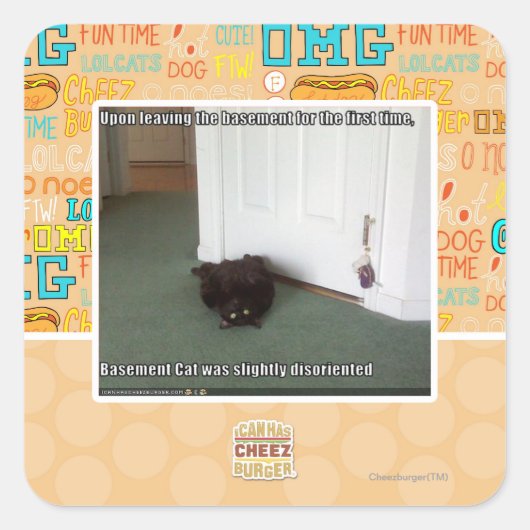 Katzenkatze, leicht desorientiert quadratischer aufkleber (Vorderseite)