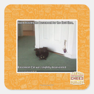 Katzenkatze, leicht desorientiert quadratischer aufkleber