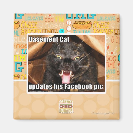 Katzenkatze Magnet (Vorne)