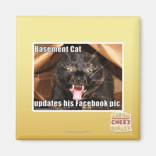 Katzenkatze Magnet (Vorne)