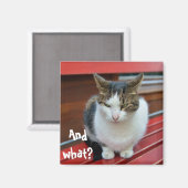 Katzenkatze Magnet (Vorderseite/Rückseite)