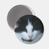 Katzenkatze Magnet (Vorderseite/Rückseite)
