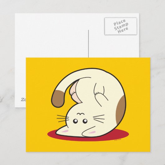 Katzenkatze Postkarte (Vorne/Hinten)