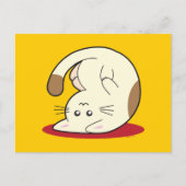 Katzenkatze Postkarte (Vorderseite)
