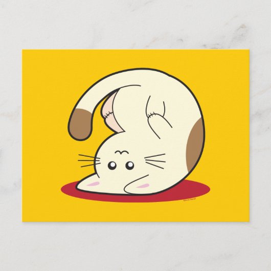 Katzenkatze Postkarte (Vorderseite)