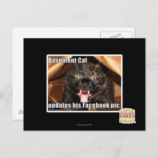 Katzenkatze Postkarte (Vorne/Hinten)