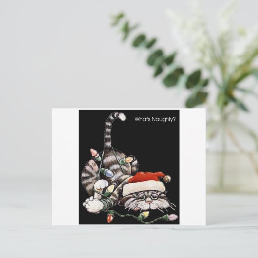 Katzenkatze Postkarte (Stehend Vorderseite)