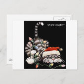 Katzenkatze Postkarte (Vorne/Hinten)