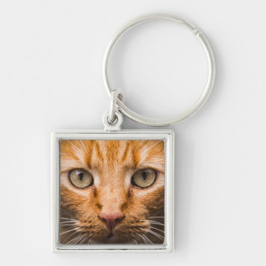 Katzenkatze Schlüsselanhänger (Vorne)