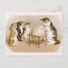 Katzenkatze und drei Kätzchen Postkarte