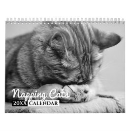 Katzenkatzen Foto-Wandkalender Kalender
