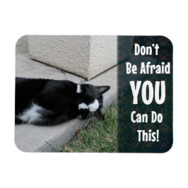 Katzenkatzer Motivierend Sprichwort nicht vermeide Magnet