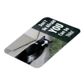 Katzenkatzer Motivierend Sprichwort nicht vermeide Magnet (Linke Seite)