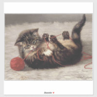 Katzenklatsche, eine Katze, die Galle aus dem Garn