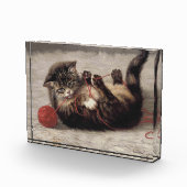 Katzenklatsche, eine Katze, die Galle aus dem Garn Fotoblock (Rechts)