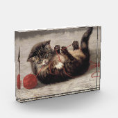 Katzenklatsche, eine Katze, die Galle aus dem Garn Fotoblock (Links)