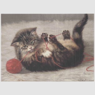 Katzenklatsche, eine Katze, die Galle aus dem Garn Seidenpapier