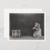 Katzenkleidung und Bowling Vintage Schwerfälligkei Postkarte (Vorne/Hinten)