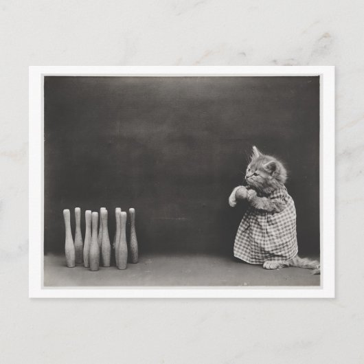 Katzenkleidung und Bowling Vintage Schwerfälligkei Postkarte (Vorderseite)