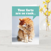 Katzenklumpen aufgrund von schmelzen Furzen Geburt Karte (Gelbe Blume)