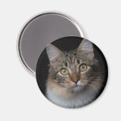 Katzenknopf Magnet (Vorderseite/Rückseite)