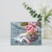 Katzenkomfort-Schrift, Postkarte (Stehend Vorderseite)