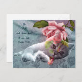 Katzenkomfort-Schrift, Postkarte (Vorne/Hinten)