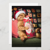 Katzenkonserven Einladung (Vorne/Hinten)