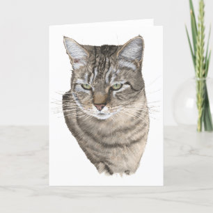 Katzenkopf-Studie Tabby Gruß Karte