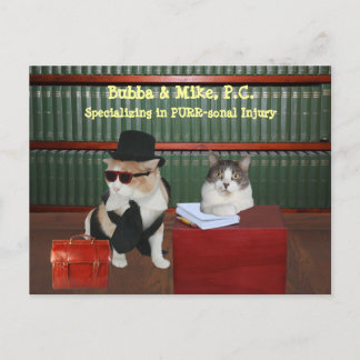 Katzenkrankheiten Postkarte