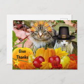 Katzenkuppeln/Katzenkollage, Erntedank Postkarte (Vorne/Hinten)