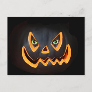 Katzenkürbis Postkarte