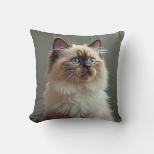 Katzenkuscheln Kissen