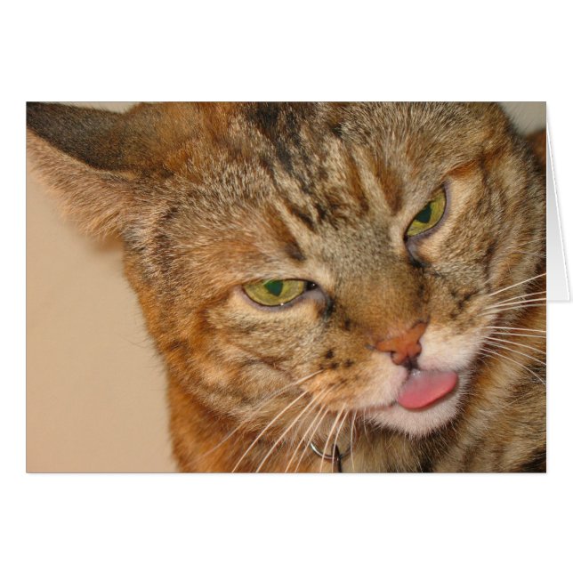 Katzenkuss (Vorderseite (Horizontal))