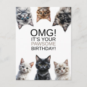 Katzenlady-Geburtstag   OMG! Es ist Dein Geburtsta Postkarte