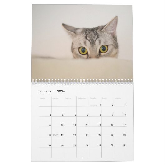 Katzenlebenskalender Kalender (Jan 2026)