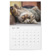Katzenlebenskalender Kalender (Mär 2027)