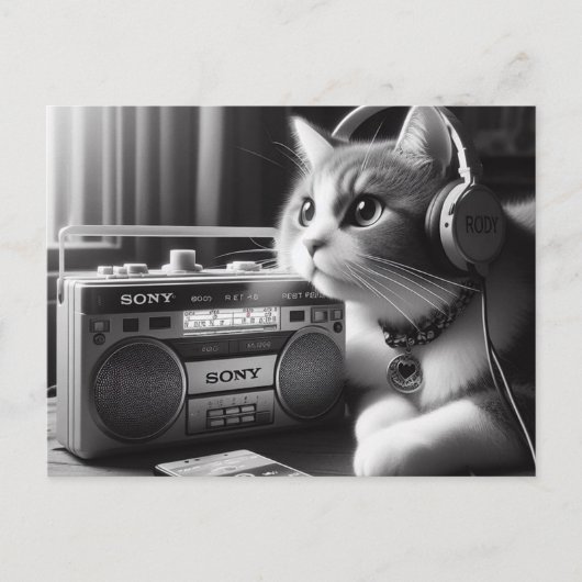Katzenledermusik Postkarte (Vorderseite)