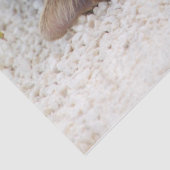 Katzenlederpapier Seidenpapier (Detail)