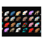 Katzenlickmuster Fotodruck (Vorne)