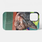 Katzenliebe  iPhone hülle (Rückseite (Horizontal))