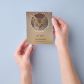 Katzenliebhaber Flyer (Gruppe)