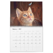 Katzenliebhaber-Kalender Kalender (Feb 2027)