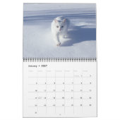 Katzenliebhaber-Kalender Kalender (Jan 2027)